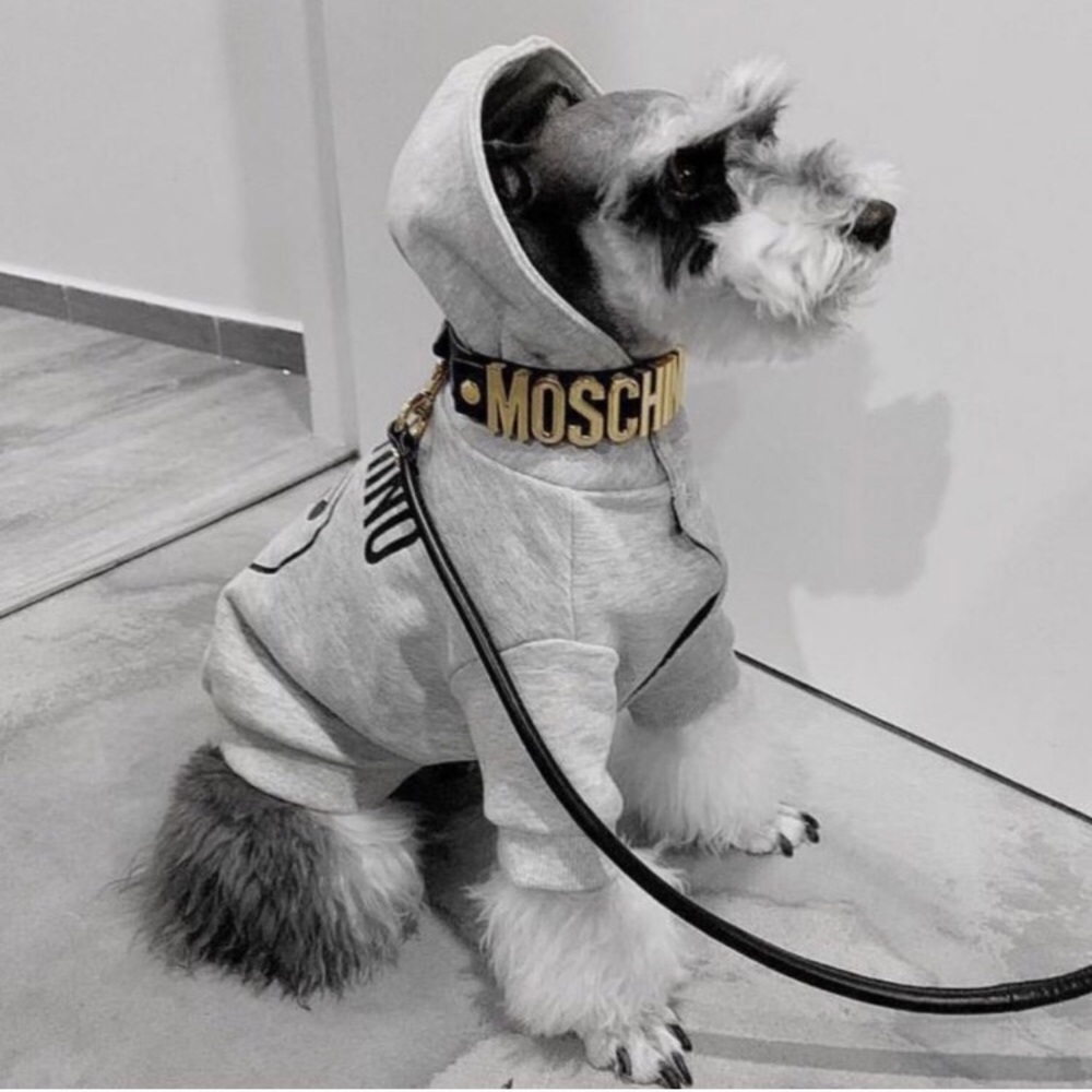 Moschino dog collar & lead!! Highly sought after - Picture 8 of 10